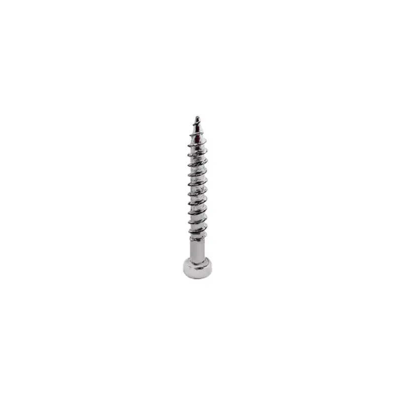 Gyors kiszállítás Rögzítő csavar "D" fejű 2,5x18mm PH1 SMART sínhez cink fehér