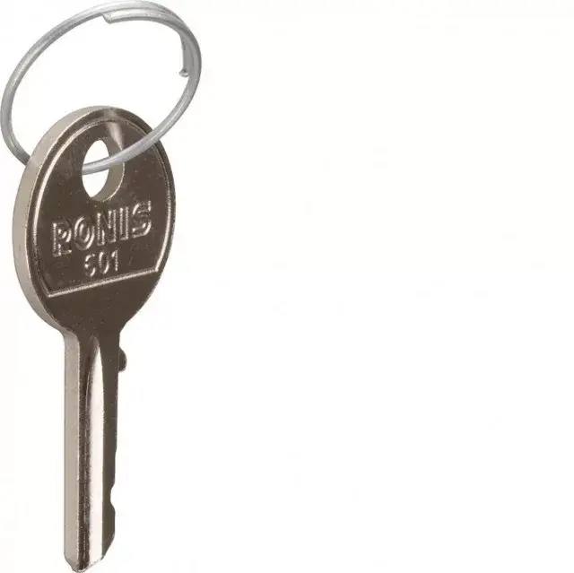 Hager SK001 Pótkulcs SK606 kulcsos kapcsolóhoz, 2db Végkiárusítás