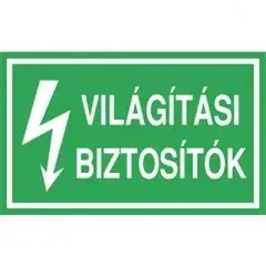 Expressz kézbesítés Öntapadó vinil matrica 60x100mm zöld - Világítási biztosítók